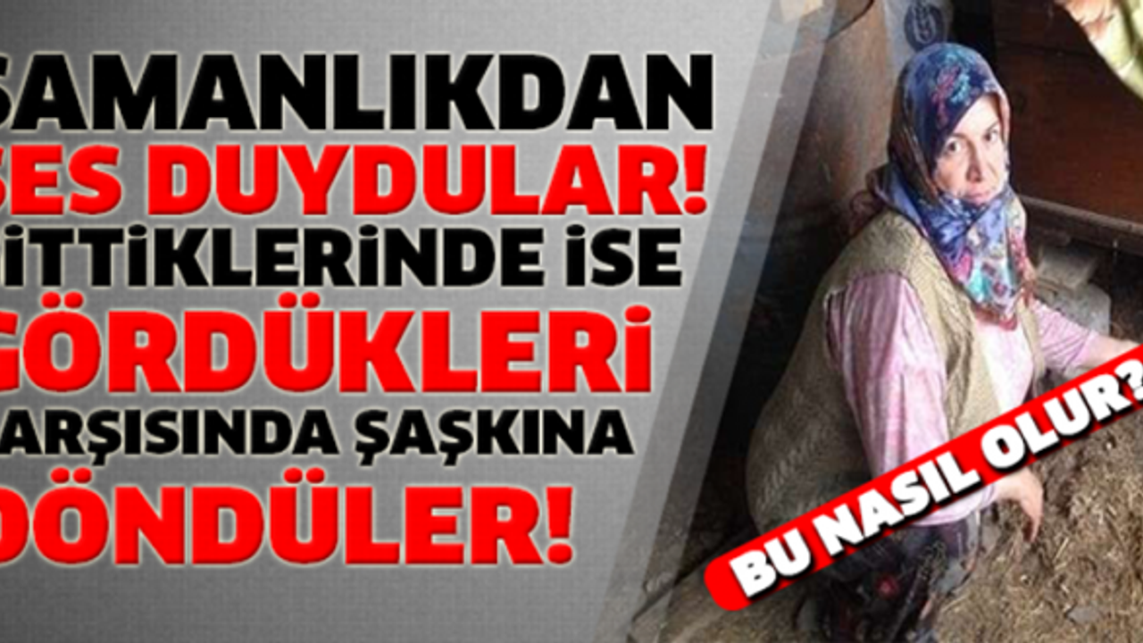 SAMANLIKTAN GELEN SES HAYATLARINI BİTİRDİ!