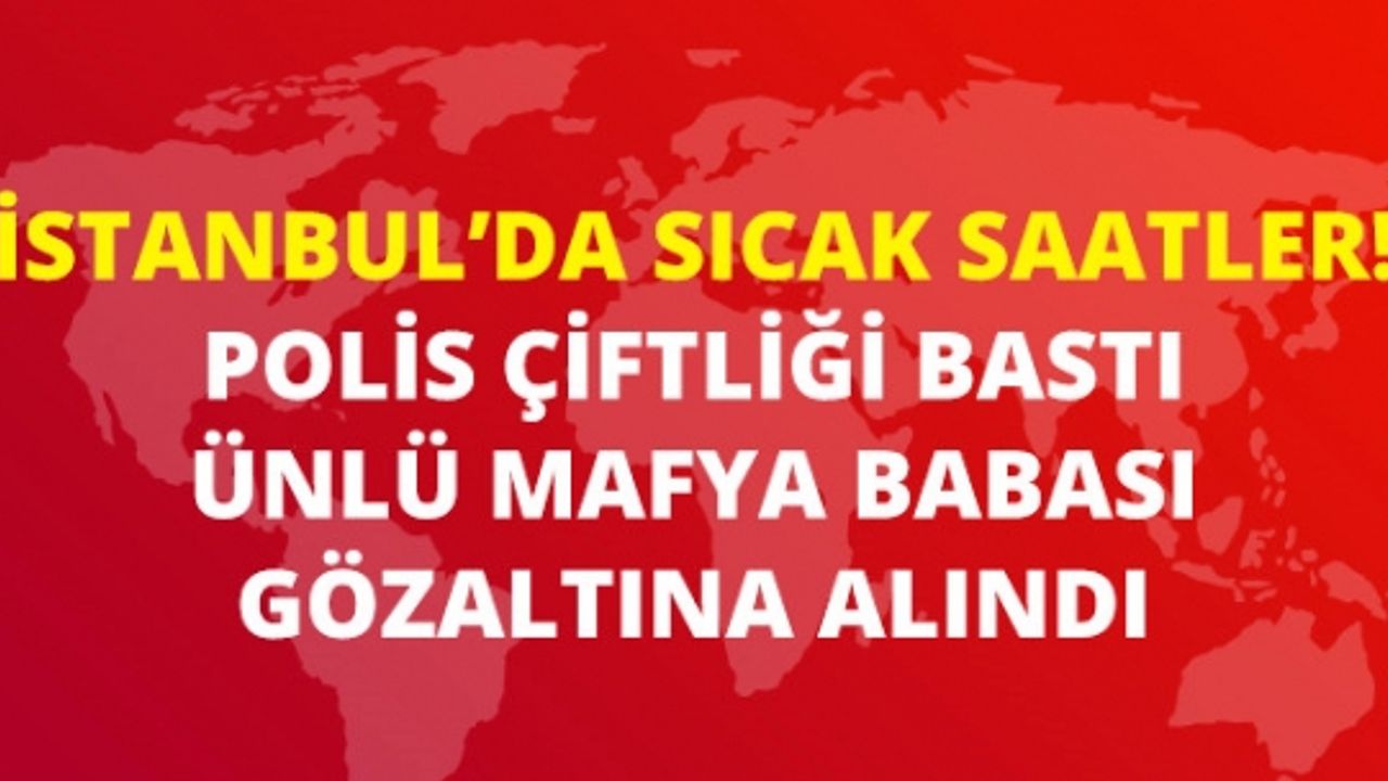 Polis Çiftliği Bastı, Ünlü Mafya Babası Sedat Şahin Gözaltına Alındı