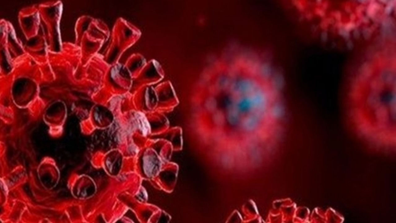 Aşılara dirençli 32 mutasyonlu yeni koronavirüs varyantı!