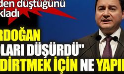 Ali Babacan doların neden düştüğünü açıkladı. ''Erdoğan doları düşürdü'' dedirtmek için ne yapıldı