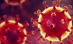 Almanya, İngiltere ve 8 Afrika ülkesini kırmızı listeden çıkardı