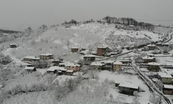 Düzce'de kar yağışı etkili oluyor