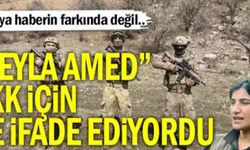 Öldürülen terörist “Leyla Amed” PKK için ne ifade ediyor