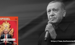 Alman gazetesi yazdı! Alman siyasetçilerden skandal çağrı!