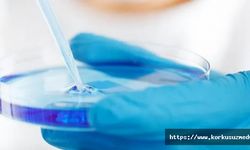 Ölümcül bakteriye yapay zekayla antibiyotik bulundu