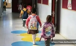 Tüm okullara seçim tatili...
