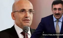 Cevdet Yılmaz ve Mehmet Şimşek'ten BAE'ye ziyaret