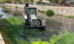 Bursa Gemlik'te derelerde temizlik