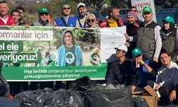 Bursa, Bilecik ve Yalova'da orman temizliği