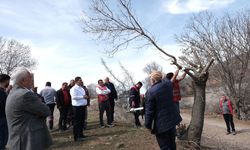 2 binin üzerinde Sakızlık ağacına Macun Mahallesinde aşılama