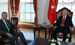 Cumhurbaşkanı Erdoğan, SDA Genel Başkanı İzetbegoviç ile telefonda görüştü