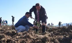 Dünya Ormancılık Günü ve Orman Haftası Milas'ta coşkuyla kutlandı