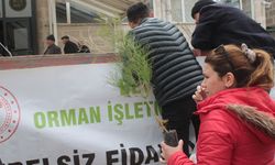 Dünya Ormancılık Haftası kapsamında fidan dikimi ve dağıtımı yapıldı