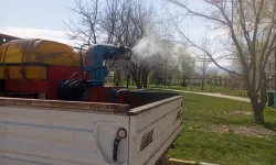 Erzincan'da larva ilaçlaması