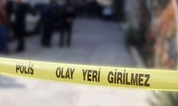 Ankara’da evindeki yavru köpekleri katleden doktor tutuklandı