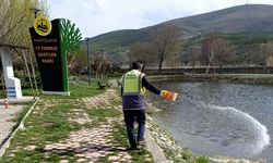 Bayburt'ta larvalarla mücadele başladı
