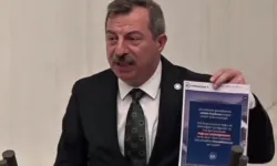İYİ Partili Toktaş'Tan ABD Konsolosluğu'nun sabıka kaydı paylaşımına tepki!