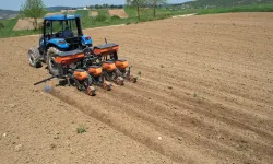 Kocaeli Büyükşehir'in desteğiyle ekim mesaisi başladı