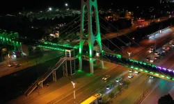 Kocaeli'nde üst geçitler yeşile büründü