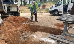 Kuştepe Mesire Alanı’nda bakım çalışması