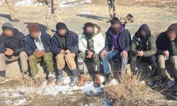 Arpaçay'da 7 düzensiz göçmen yapılan operasyonla yakalandı
