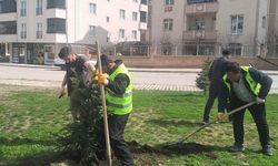 Bayburt Belediyesinden bahar mesaisi