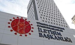 DMM'den, Marmaris'teki "Çam ağacı kesimi" iddialarına yalanlama