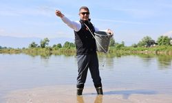 Düzce Valisi Aslan çeltik tohumu ekerek çiftçiye destek verdi