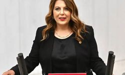 Elvan Işık Gezmiş: Vahşi madencilik köylerimizi etkiliyor