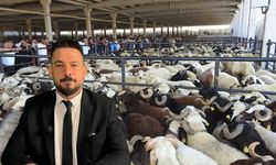 Ferit Akkurt’tan Kurbanlık seçimi ve kesim rehberi: “Kurban kesimi hijyenik, ruhsatlı alanlarda yapılmalı”