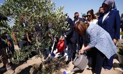 Gaziantep ve Bağdat kardeşliği! Türkiye Bahçesi’ne 5 bin fidan
