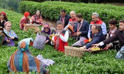 İbrahim Yumaklı: Meteorolojik olayların çaya bizim korktuğumuz bir etkisi olmadı