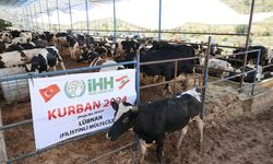 İHH Kurban Bayramı’nda 60 ülkeye ulaşmayı hedefliyor