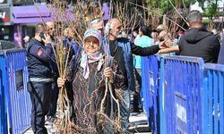 Isparta'da 15 bin adet meyve fidanı dağıtıldı