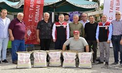 İzmir'de ayçiçeği üreticilerine yerli tohum desteği