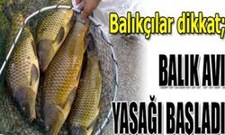 Kars'ta su ürünleri av yasağı başladı