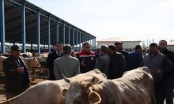 Kurban Bayramı öncesi Selim Hayvan Pazarı'nda denetim