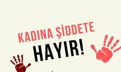Meclis’ten kadına şiddetle mücadelede 113 maddelik yol haritası