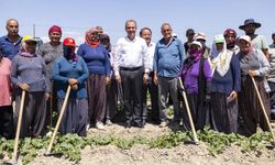 Mersin'de çiftçinin yüzünü güldüren hamle