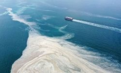 Müsilaj Marmara’ya geri döndü: Saros Körfezi’ni de sardı!