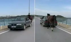 Otomobile bağladığı at ile ilerleyen 2 kişi gözaltına alındı