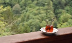 Rize'den 4 ayda 5,5 milyon dolarlık çay ihracatı