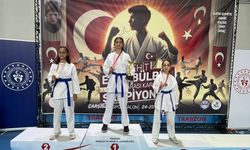 Şehit Eren Bülbül İllerarası Karate Şampiyonası'nda büyük başarı!