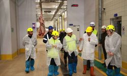 TSE’den Kocaeli Büyükşehir mezbahasına tam not
