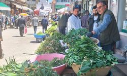 Van’da yöresel otlara yoğun ilgi uçkun ve diğer şifalı bitkiler tezgâhlarda yerini aldı