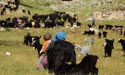 Yörükler yayla yolunda: Sıcaklardan kaçış başladı