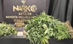 Antalya’da zehir tacirlerine darbe: 113 şüpheli gözaltında