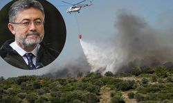 Bakan Yumaklı'dan 'yeşil vatan' uyarısı!