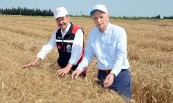 Bilgiç: Yerli tohum ve Ar-Ge; olmazsa olmazımızdır