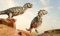 Dinozordan gelen şifa: Fosil tümörü umut oldu